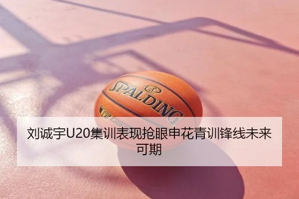 刘诚宇U20集训表现抢眼申花青训锋线未来可期
