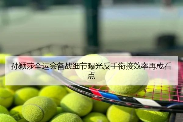 孙颖莎全运会备战细节曝光反手衔接效率再成看点