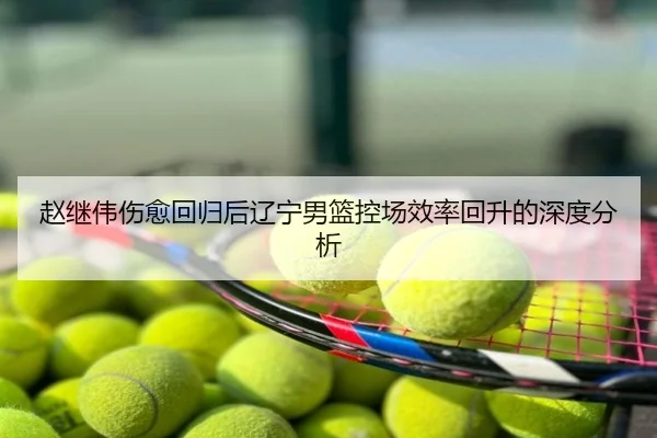 赵继伟伤愈回归后辽宁男篮控场效率回升的深度分析