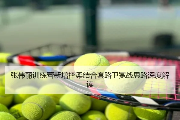 张伟丽训练营新增摔柔结合套路卫冕战思路深度解读